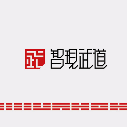 智现武道 智现武道
